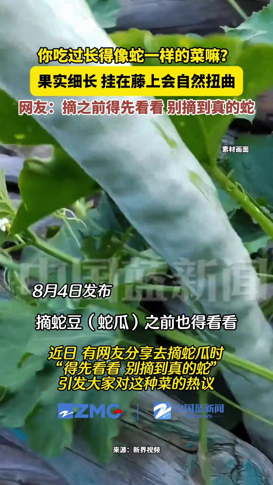 @中国蓝国际