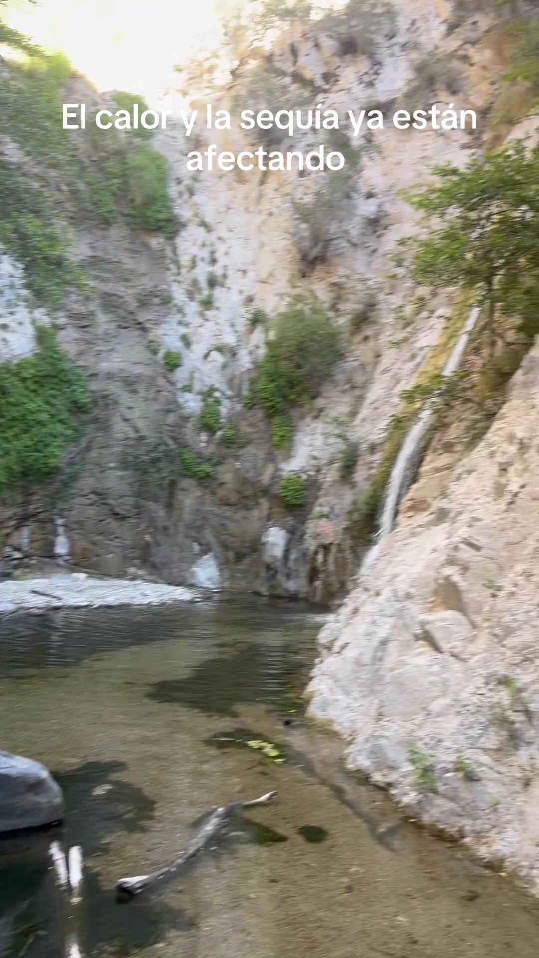 @Ame de ram