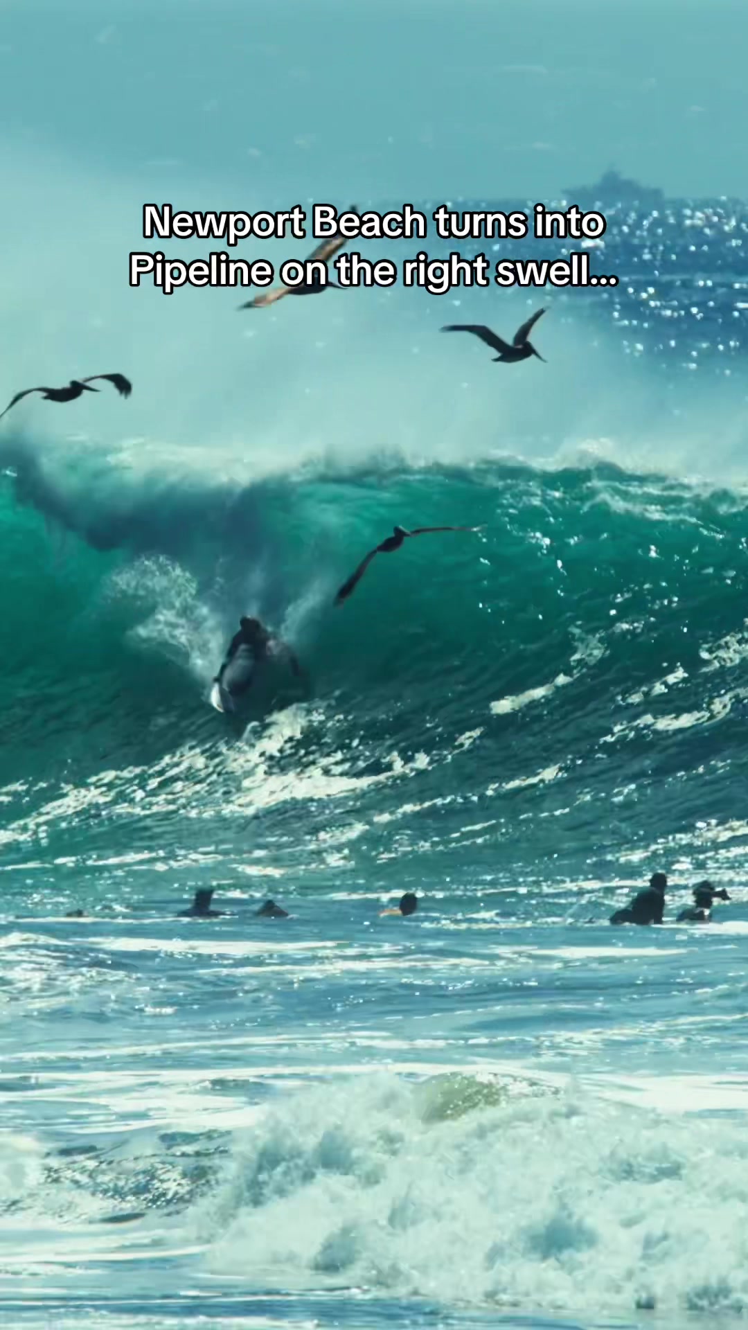 @Surftok