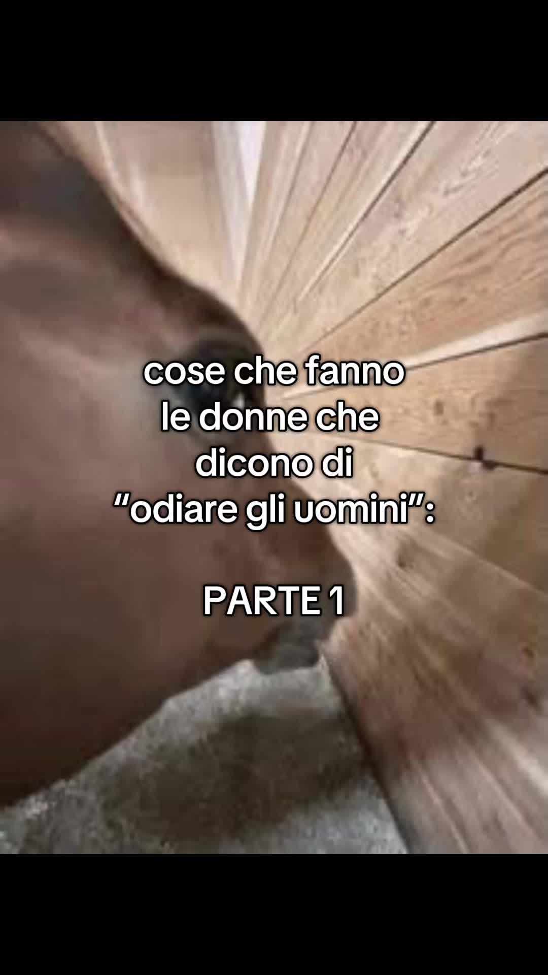 @pastacontonno4l