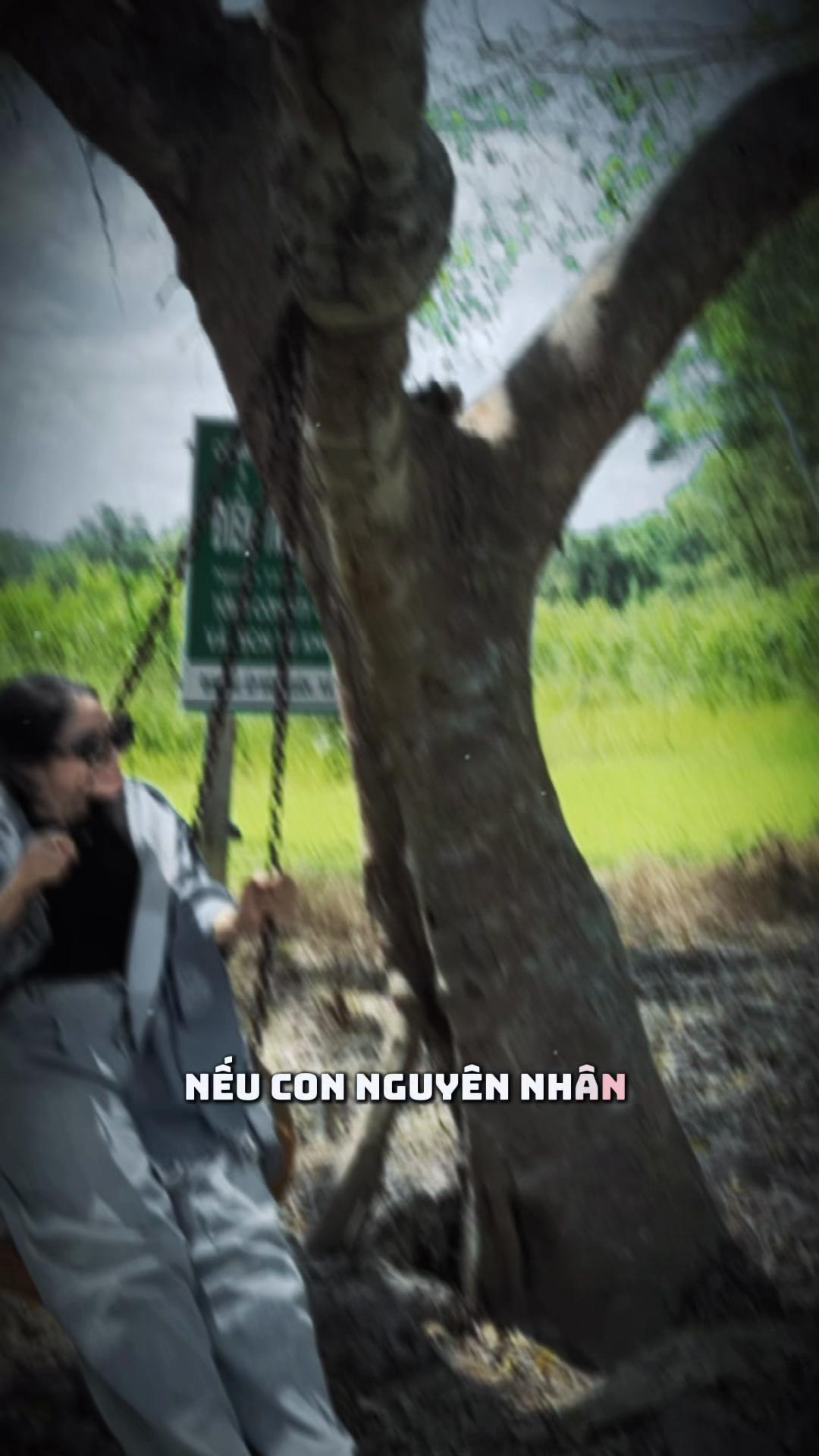 @huynhvan310