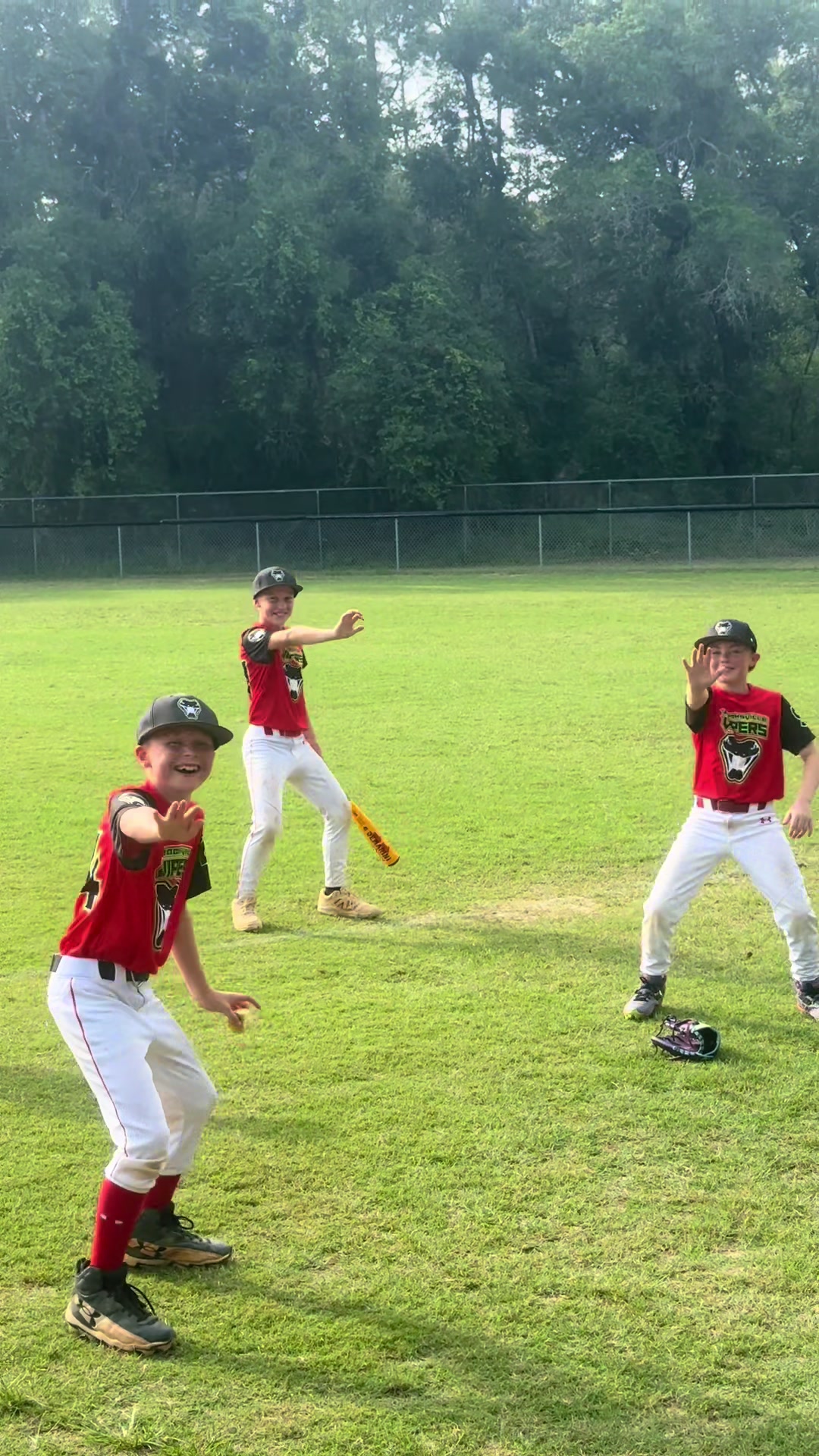 @Brooksville Vipers Baseball