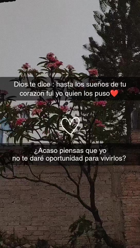 @Ana Belen Rodrigues🐍