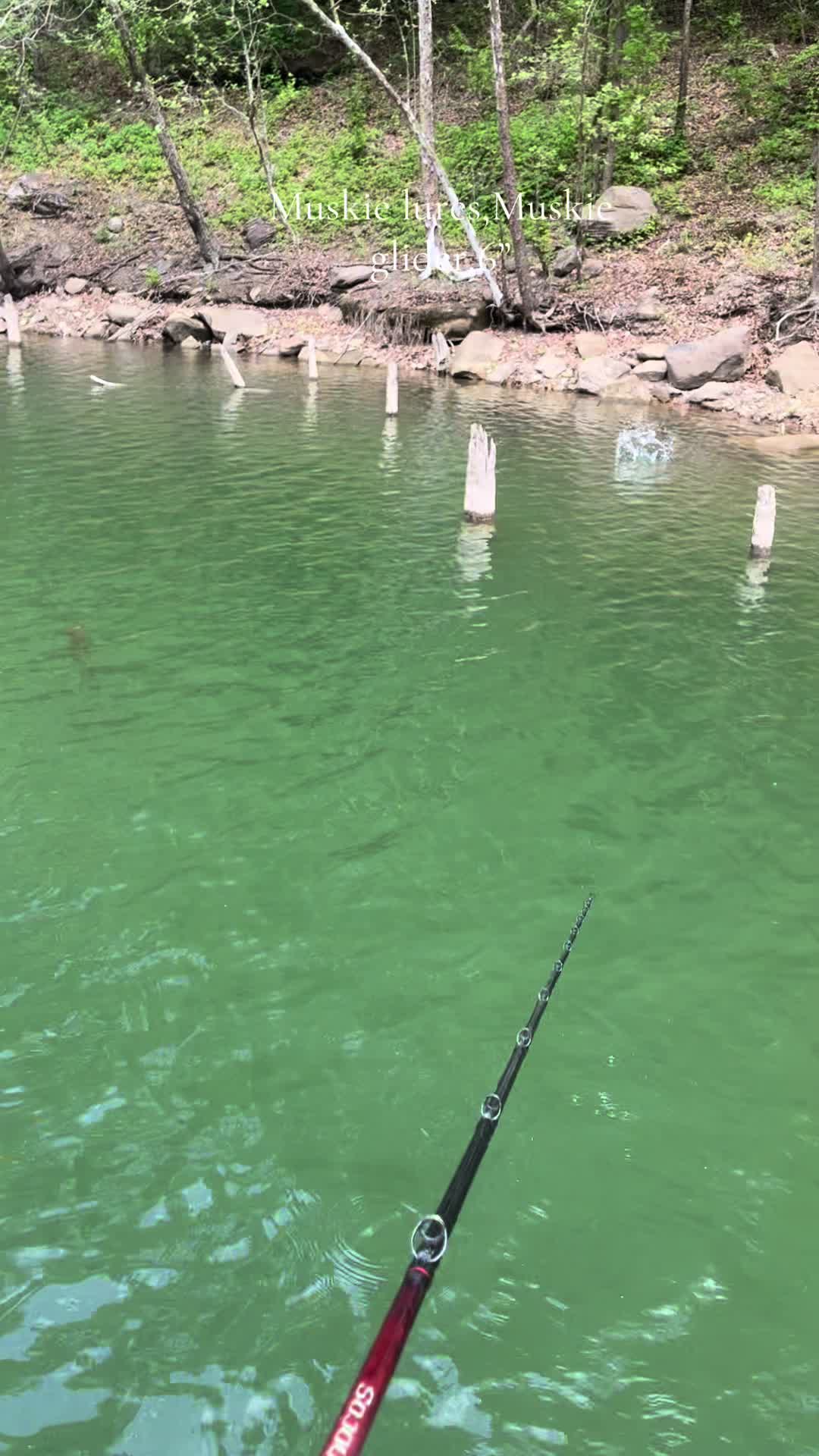 @JW Lures