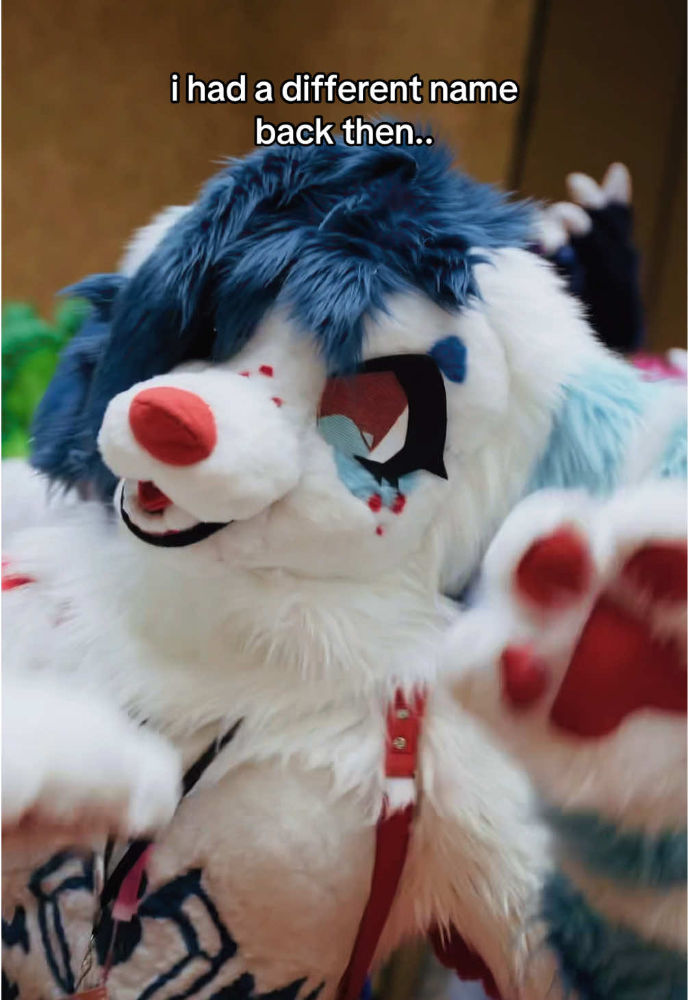 @cat :3 🔜 TTFC
