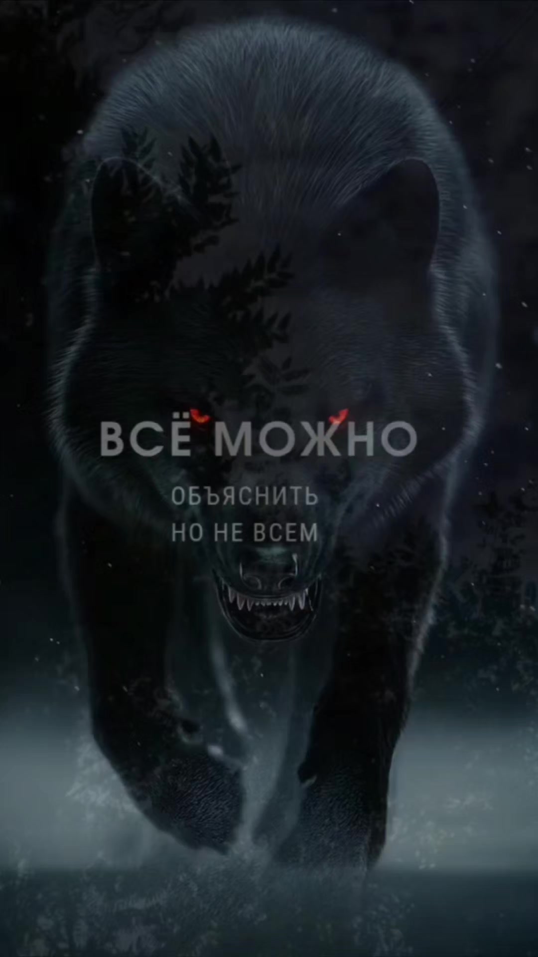 @🇷🇺Evgen.62rus🇷🇺