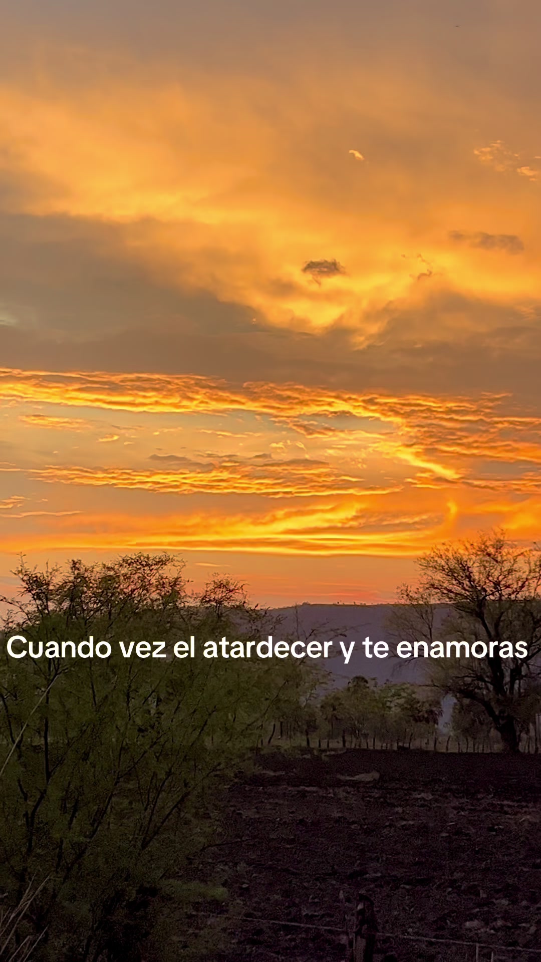 @Ismael Garcia Arellano