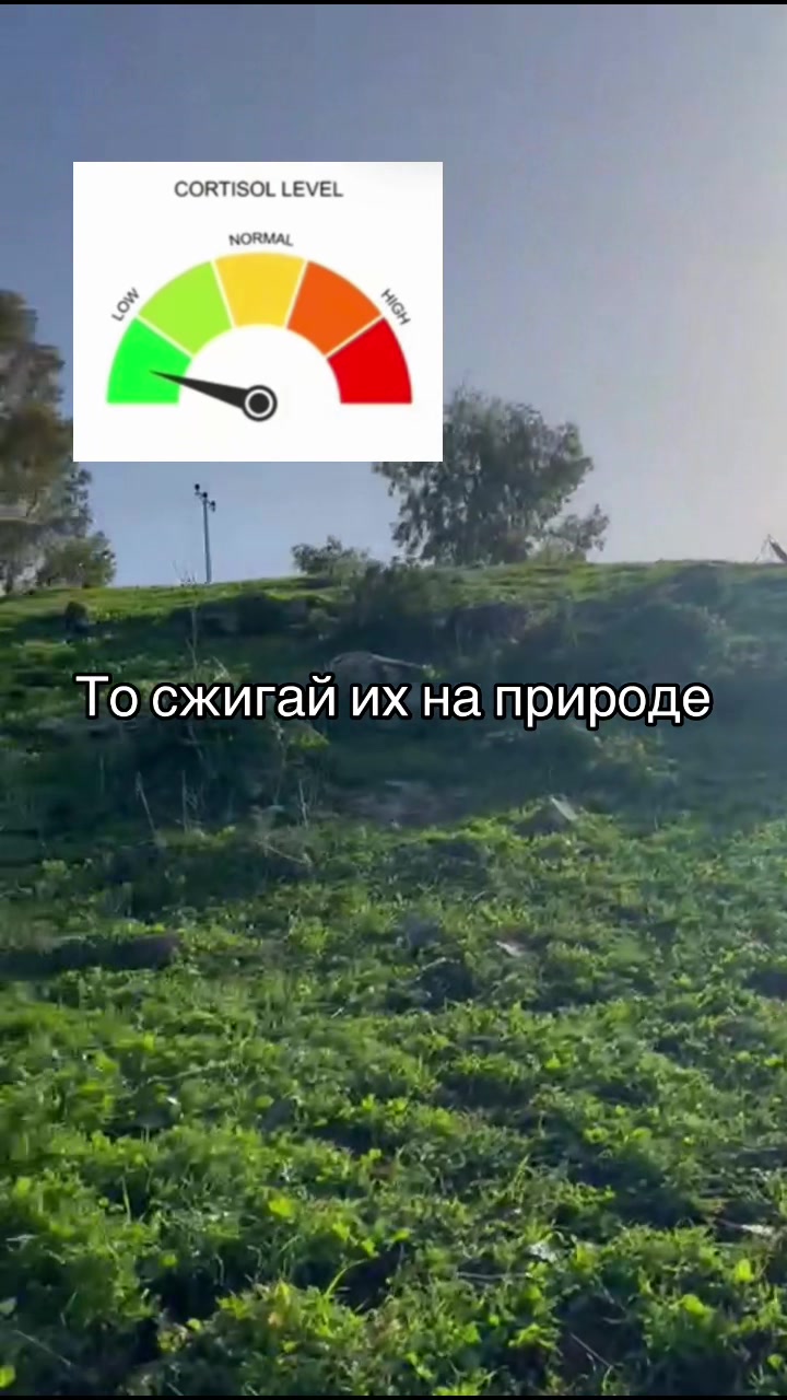 @ТГК: Эфратик Пони 🦄