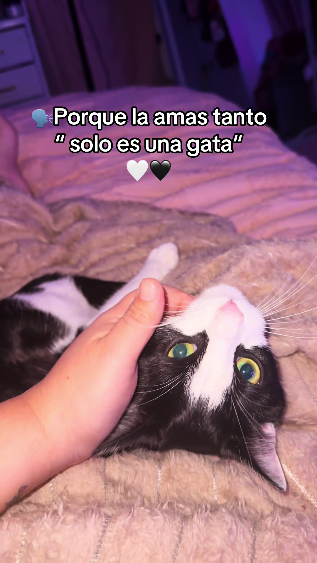 @Luna🌙 y Sol☀️
