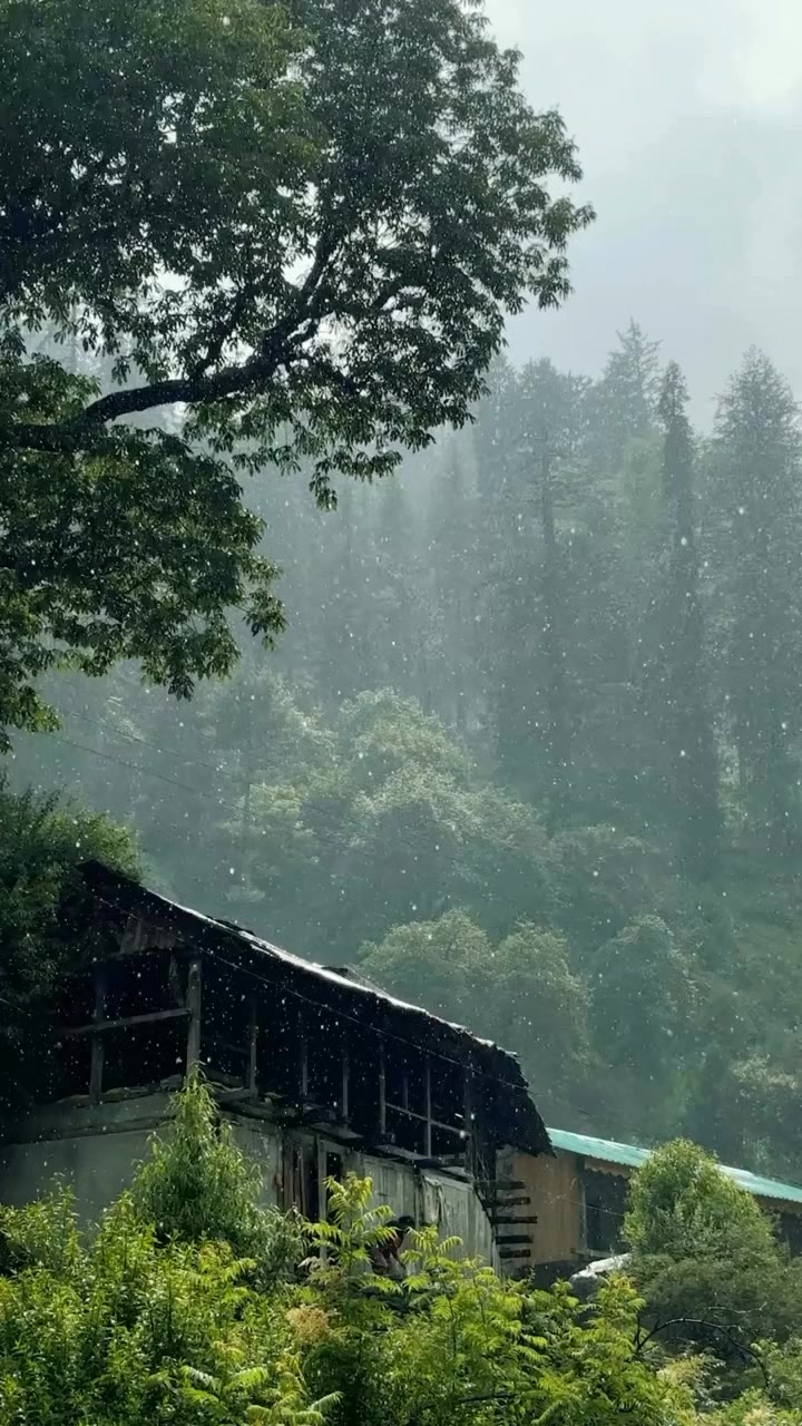 @B7F乛حسيب