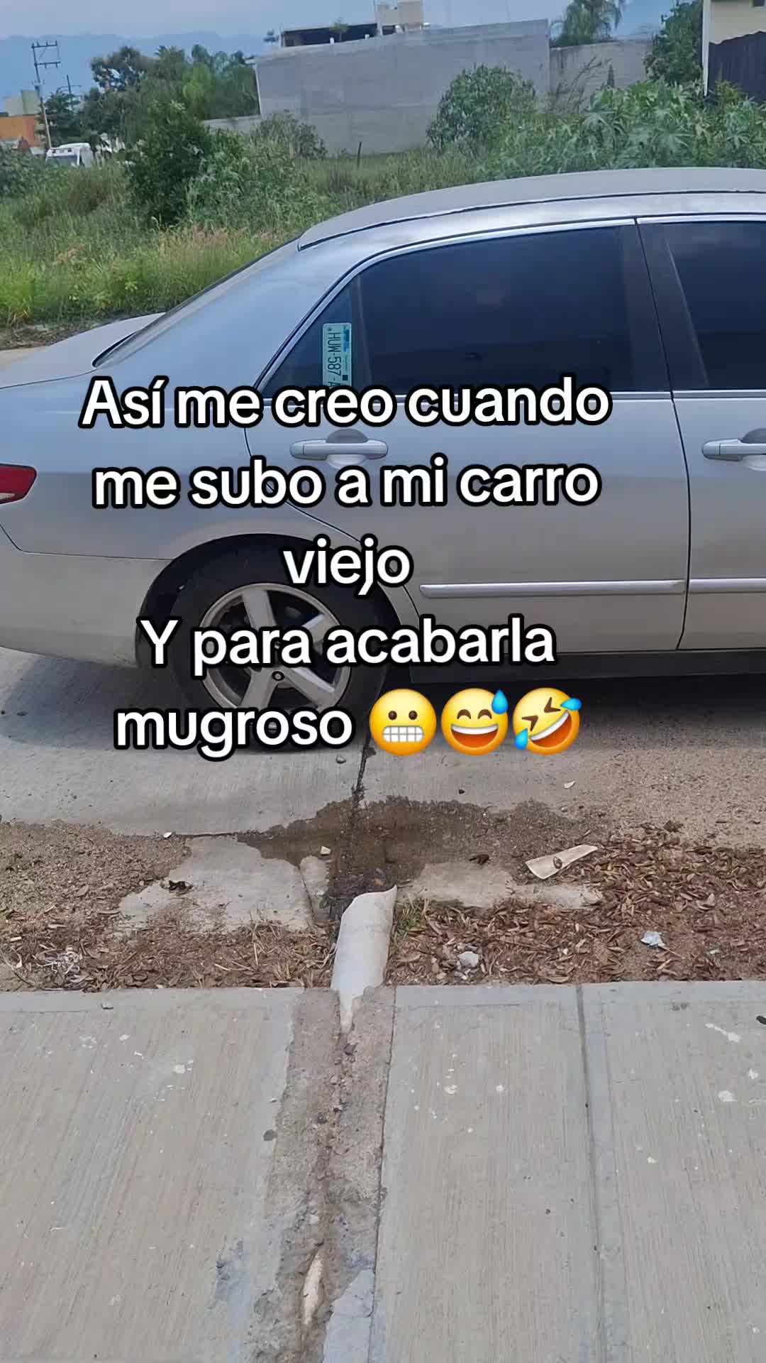 @Luz Llamas