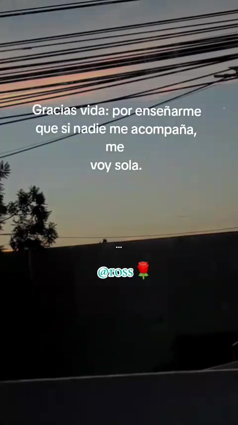 @Ross🌹