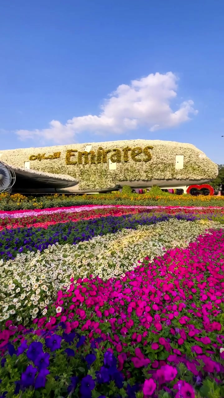 @Ehab&ensp;Dandesايهاب&ensp;دنديس&ensp;🫡
