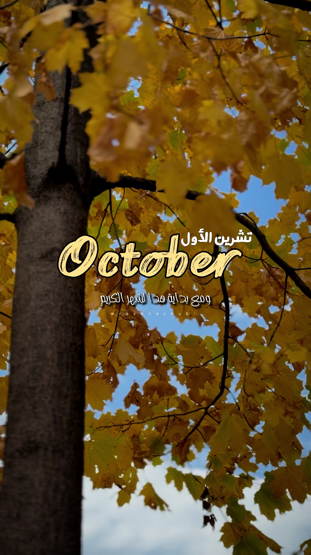 @Rayan El Ayoubi