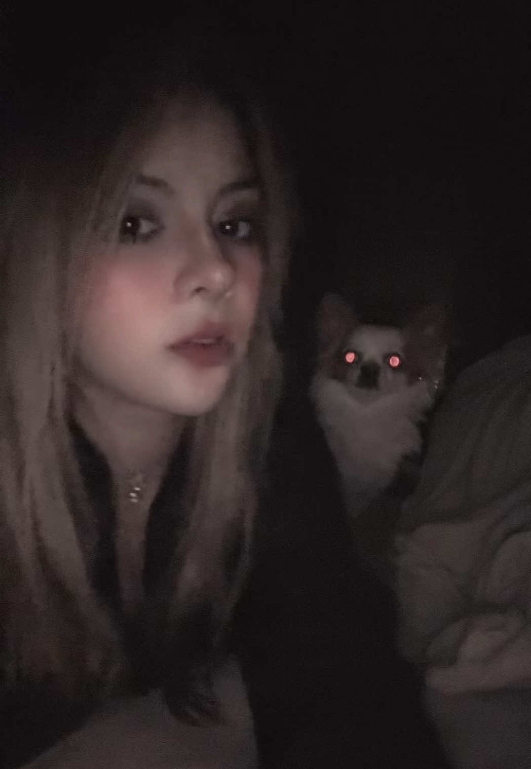 @CTRLFR33K