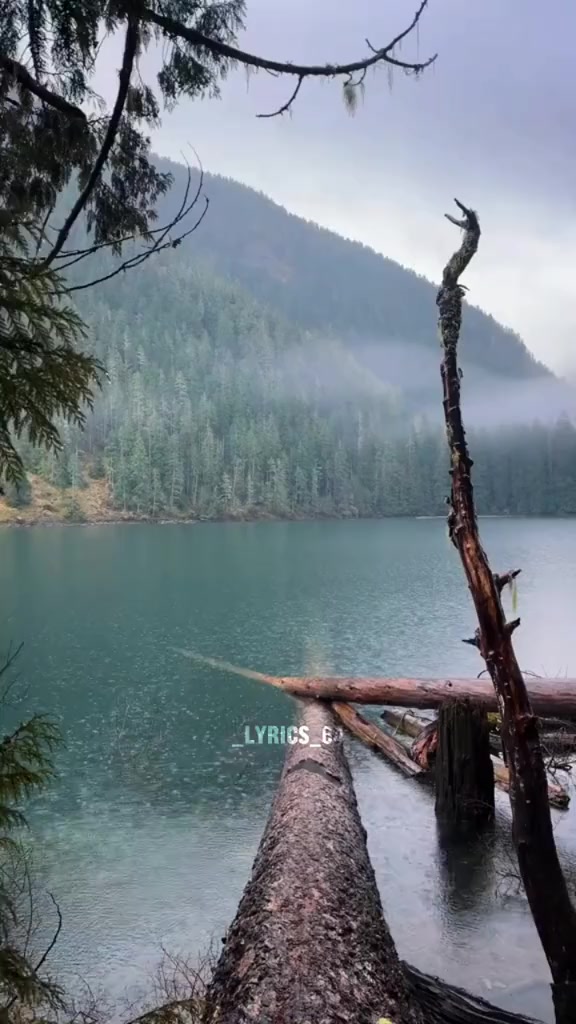 @lyrics_64