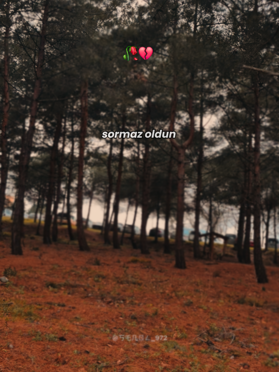 @ŞarkınıSe&ccedil;