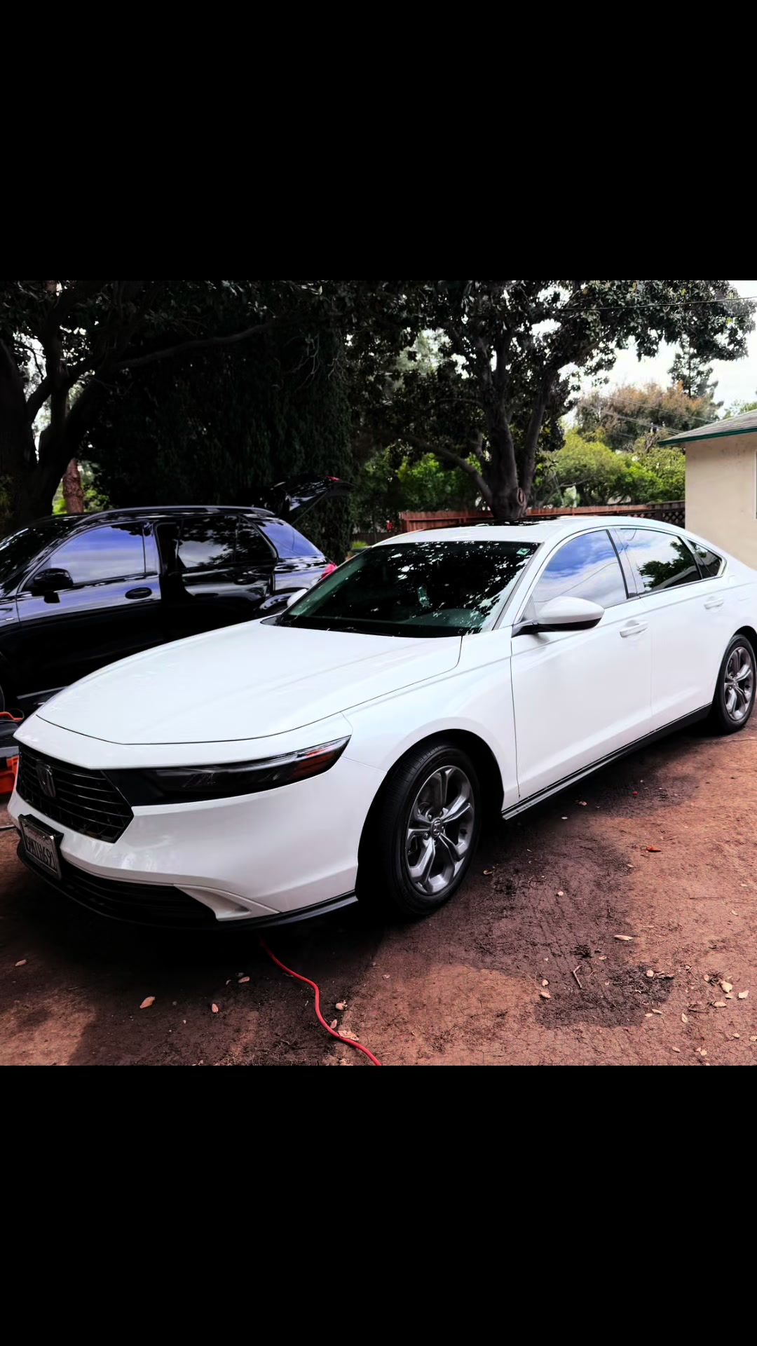 @Apex Auto Spa🦈