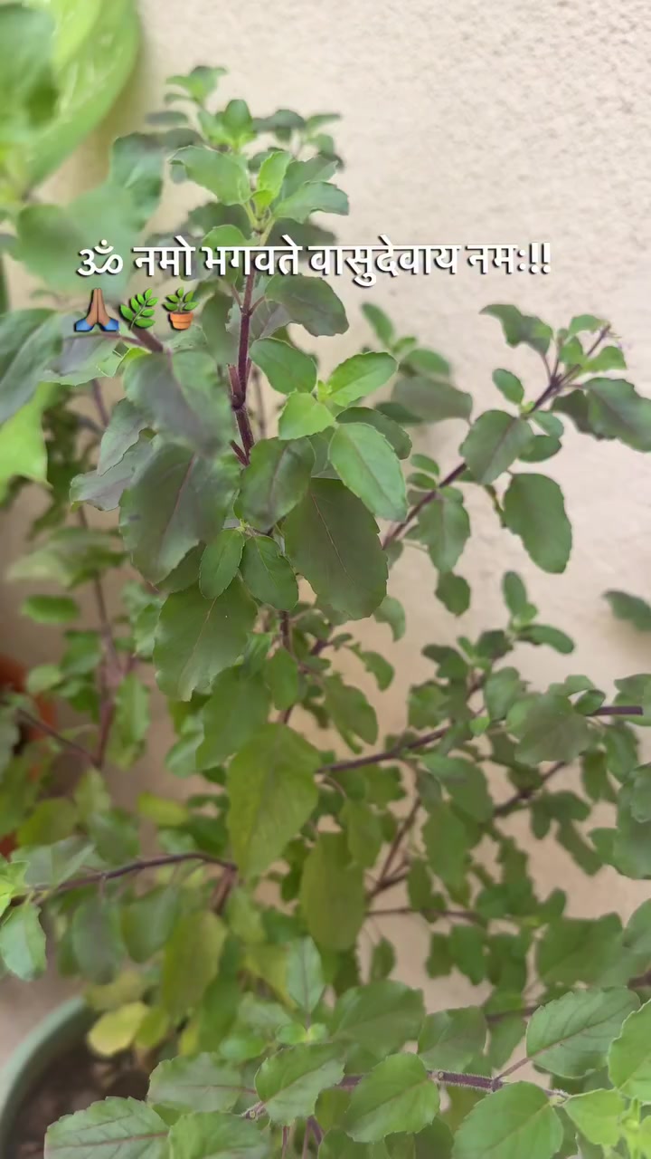 @Aman kumar