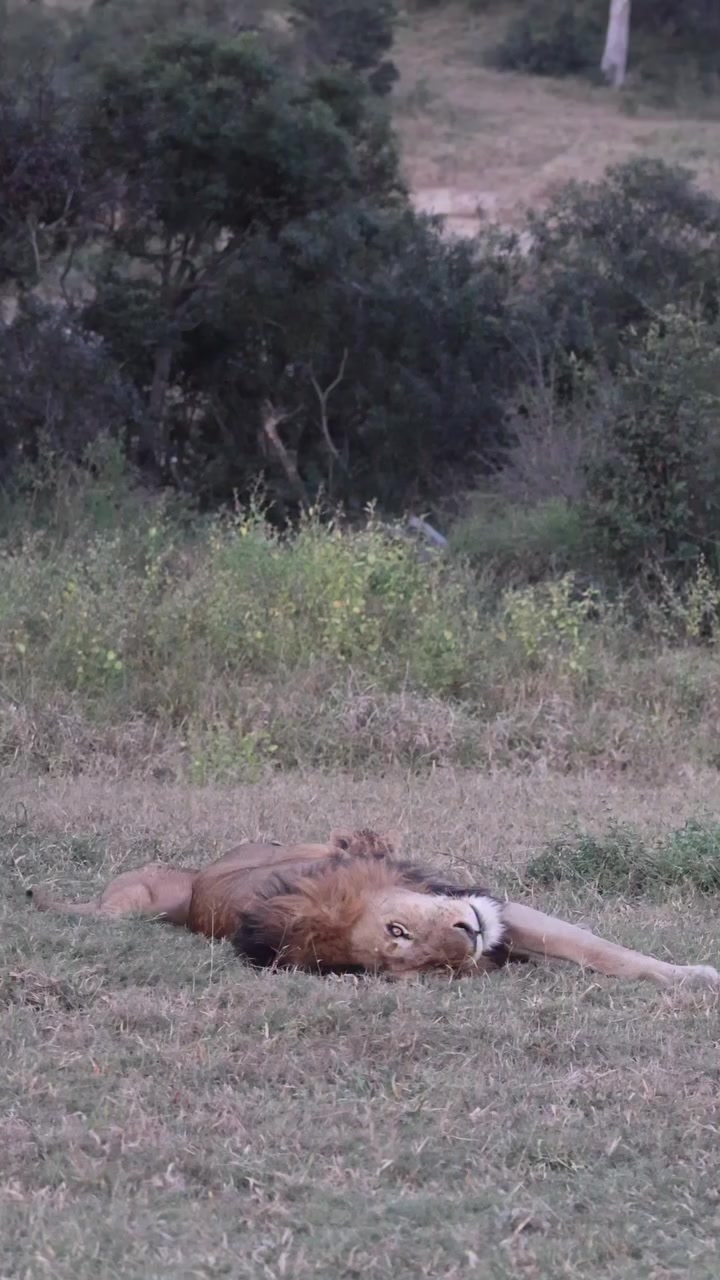 @Kalbas4x4Safaris