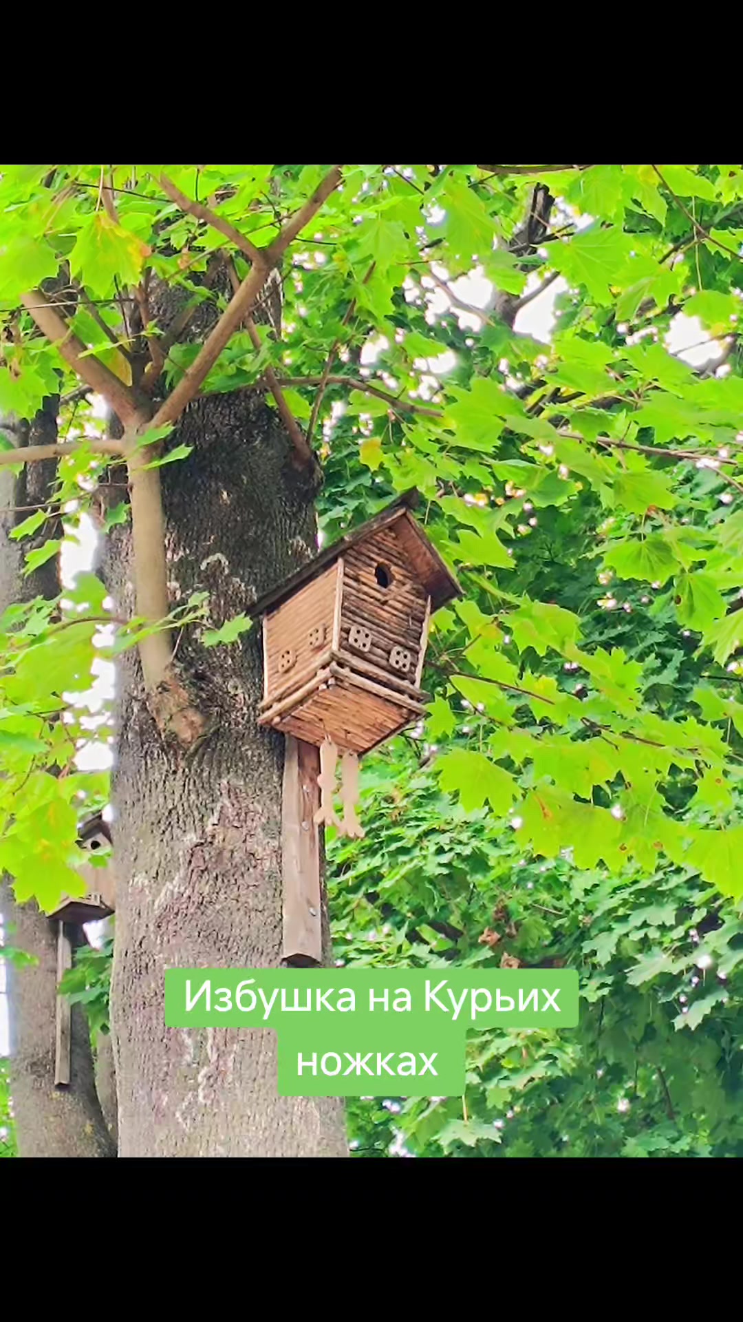 @Татьяна
