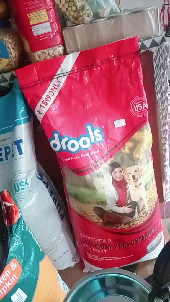 @Dream pet shop & pet solution