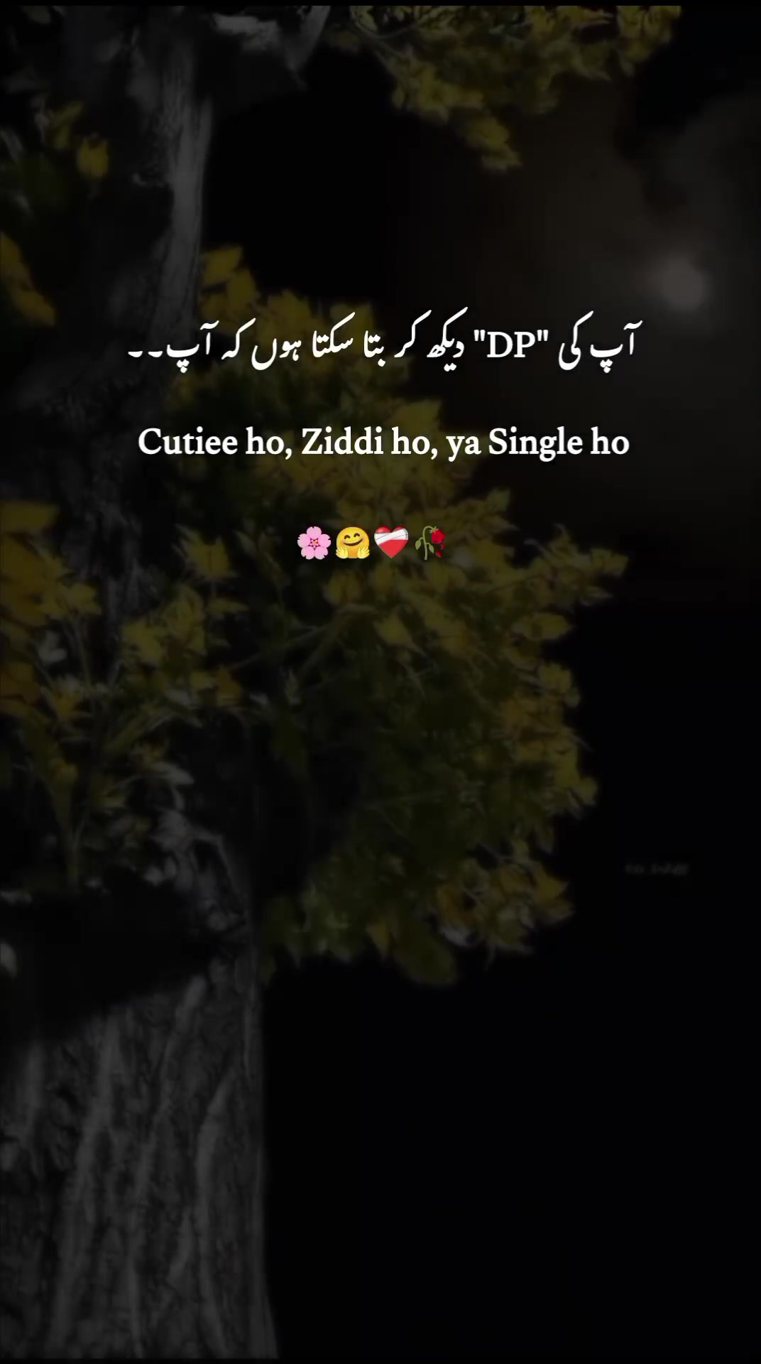 @ﮩـﮩﮩ٨ـ🫀ﮩ٨ـﮩﮩ٨ـ