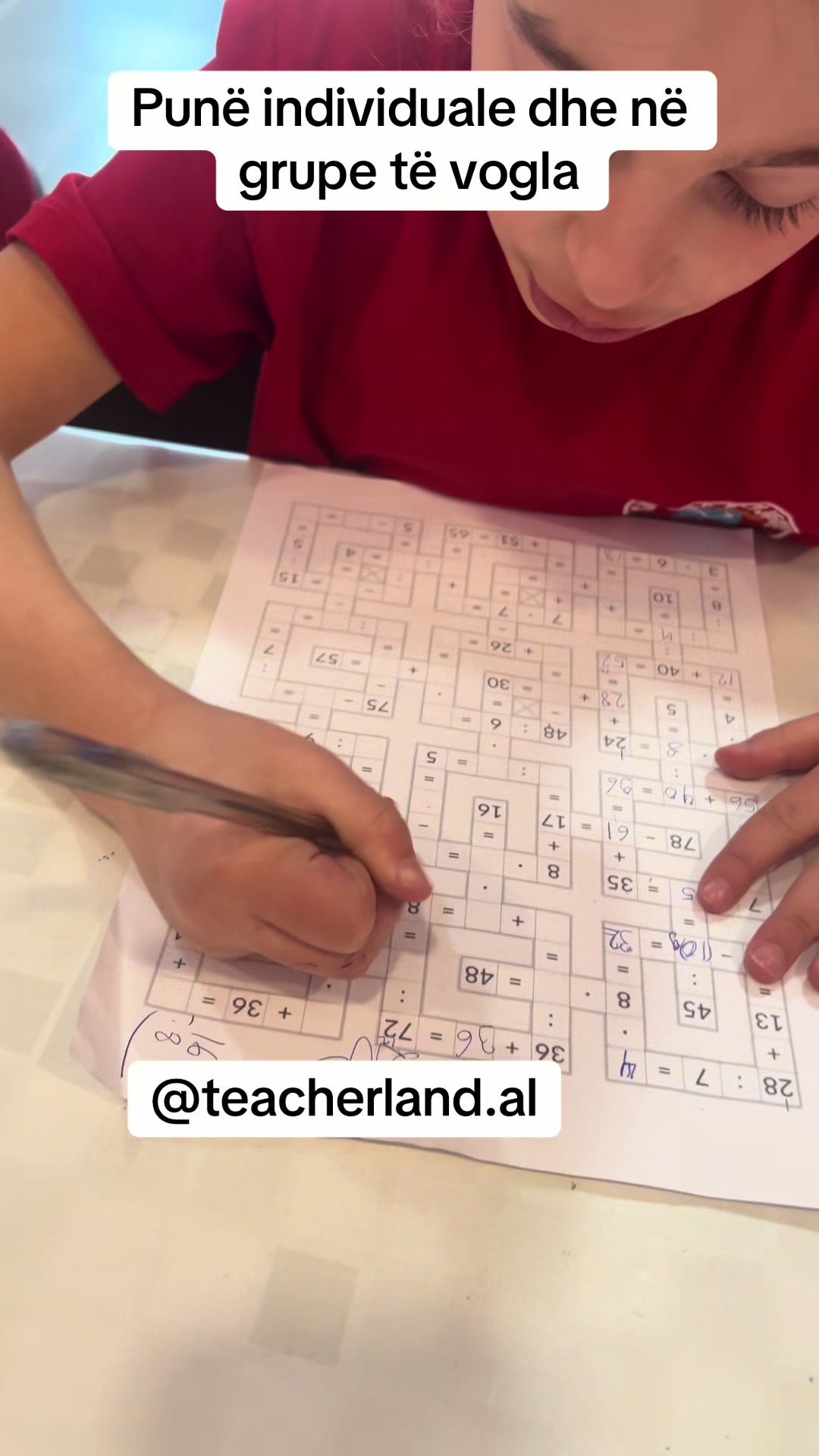 @teacherland.al