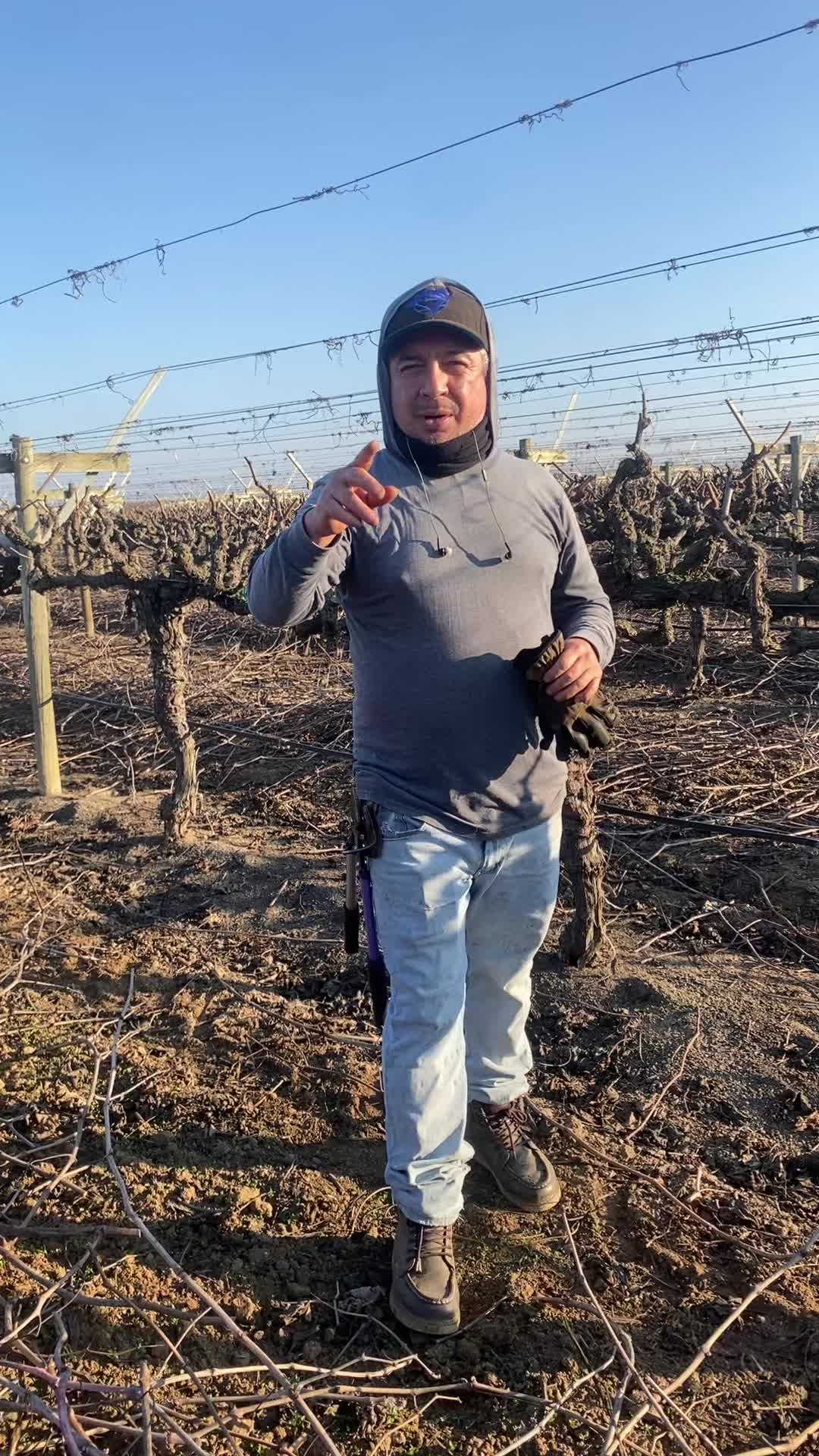 @Gustavo
