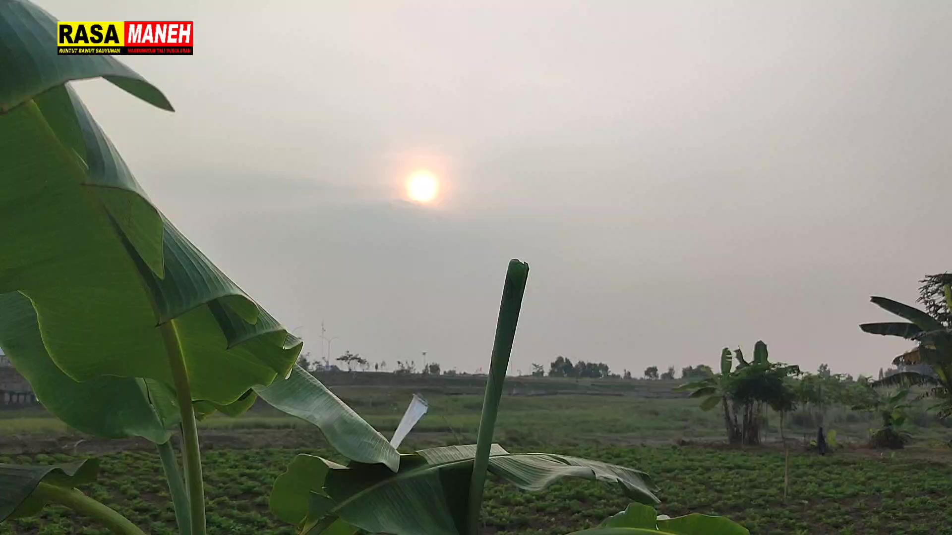 @Kang Amay