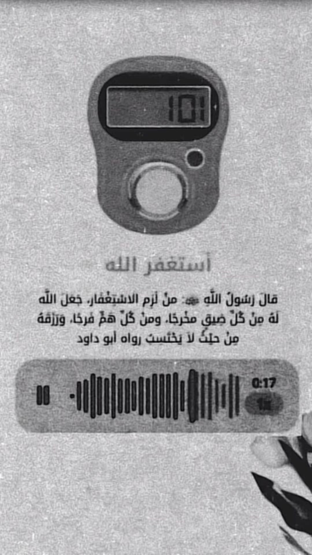 @أبــو أريـــس