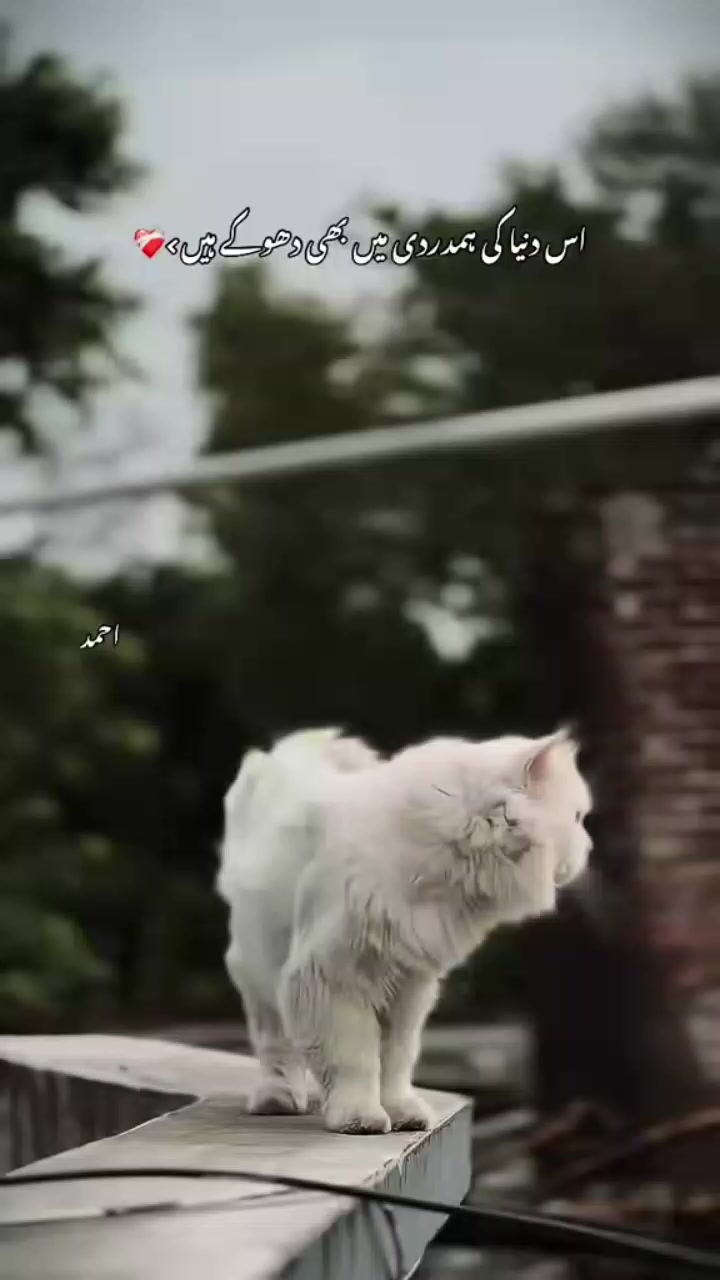 @ꂵꋬ꓄꒒ꋬꃳ꒐ꏂ ಢ‸ಢ ꒯꒤ꋊꋬꌦꋬ💔