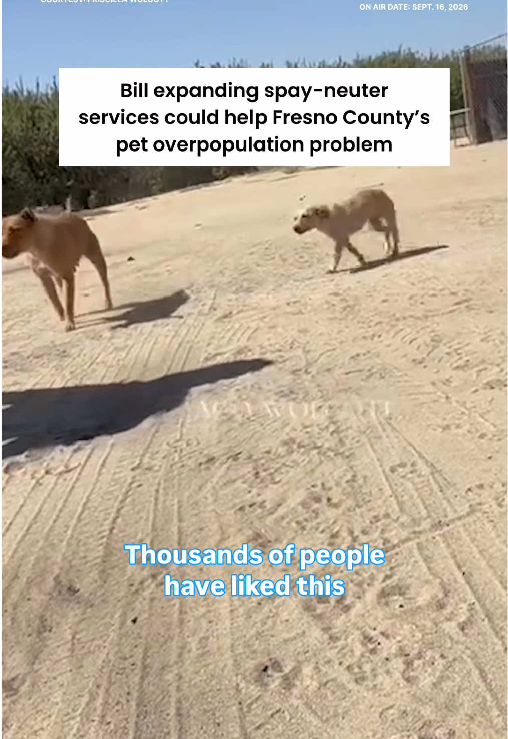 @yourcentralvalley