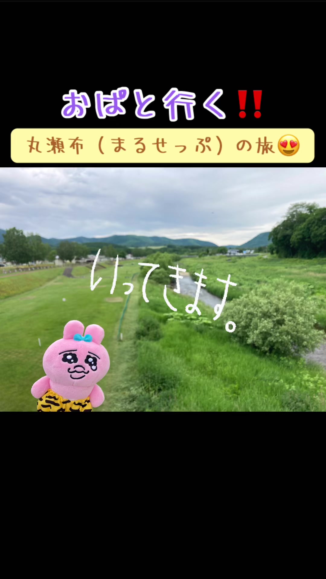 @ぱんちゅ一丁🐽🎶🌼