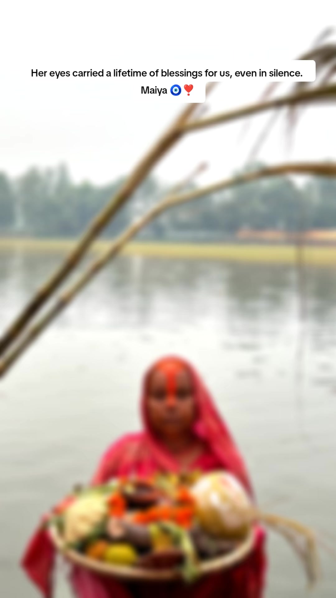 @✨ll मिस नितु (सुडी)ll✨
