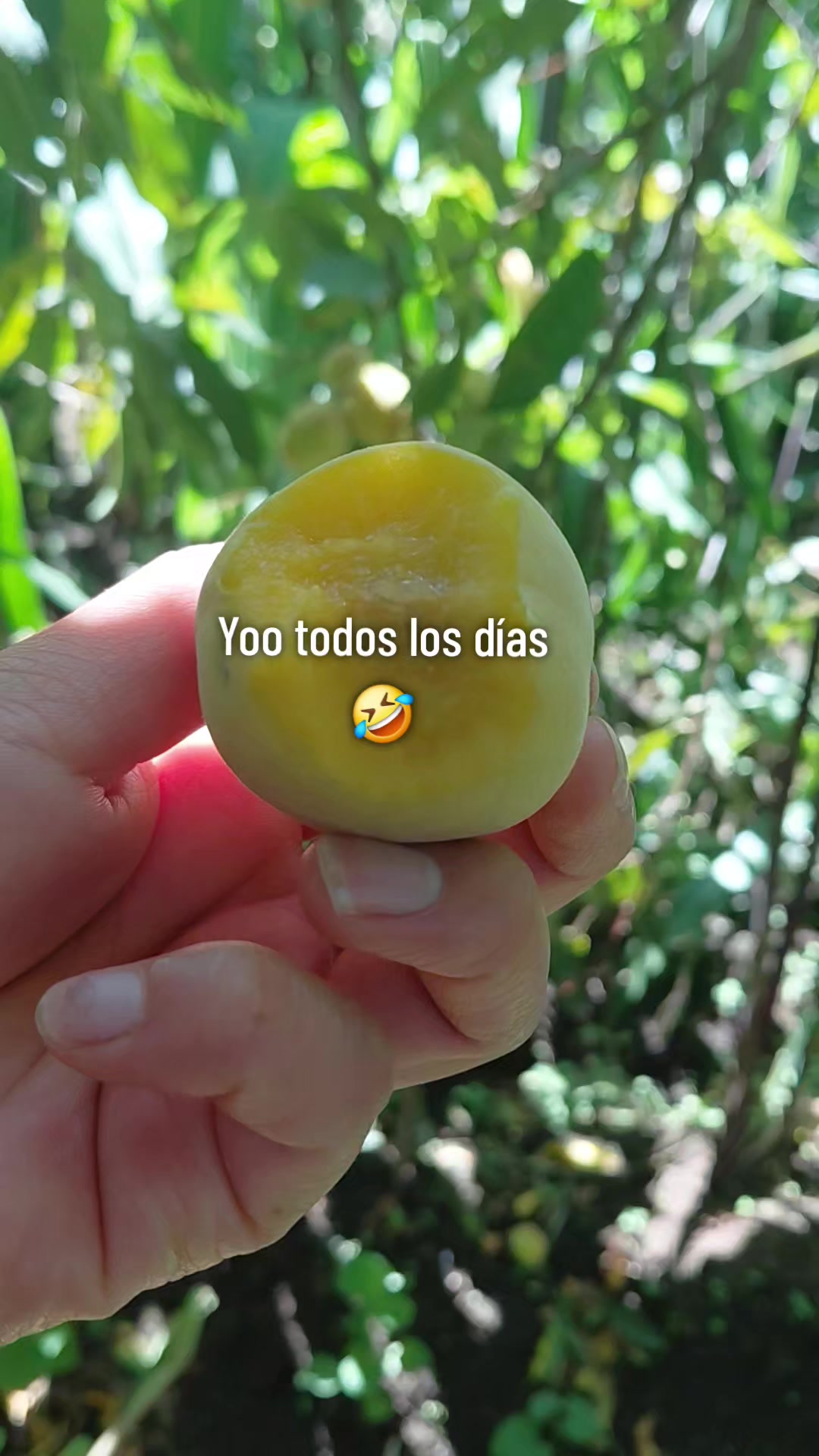 @Rebë🍒