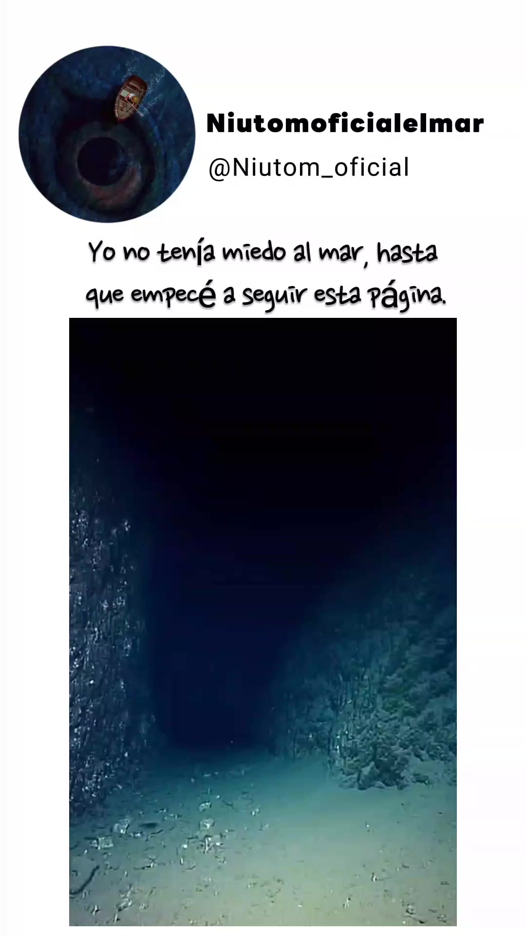 @🌊️niutom oficial el mar 🌊