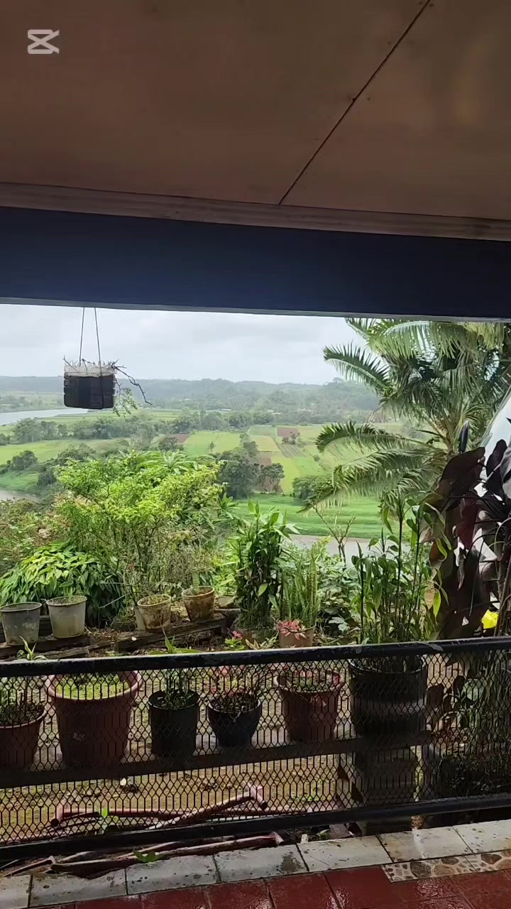 @🌺❤Sophia 🇫🇯🇦🇺