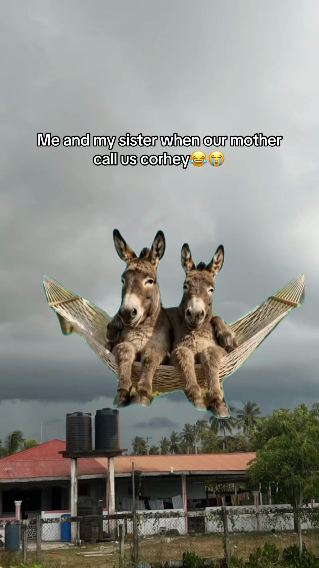 @đđčđČđ
& đđČđâ€ïžđ„.