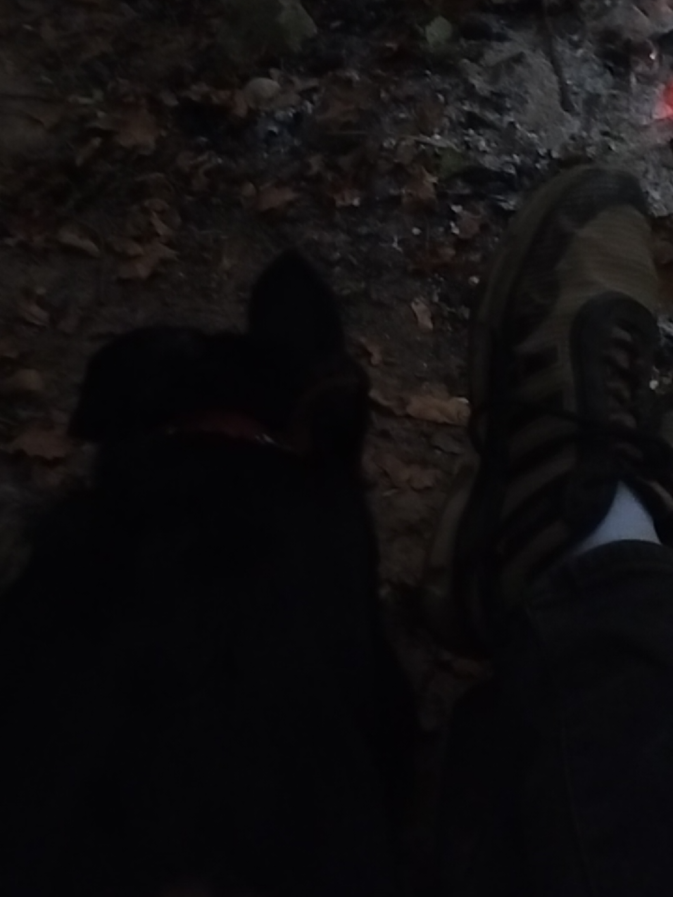 @Екатеринушка🐦🔥