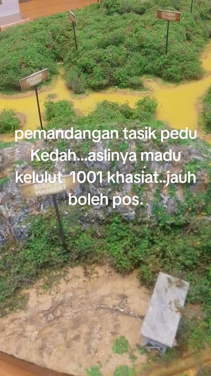 @Wan nasruy