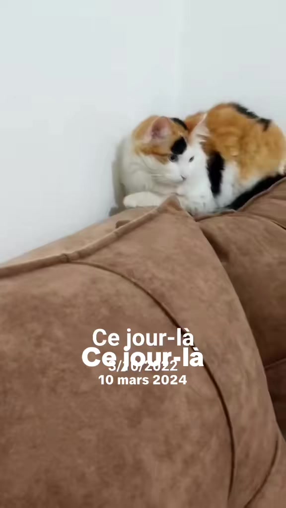 @Prince 🤴 nicotine 🐱nana