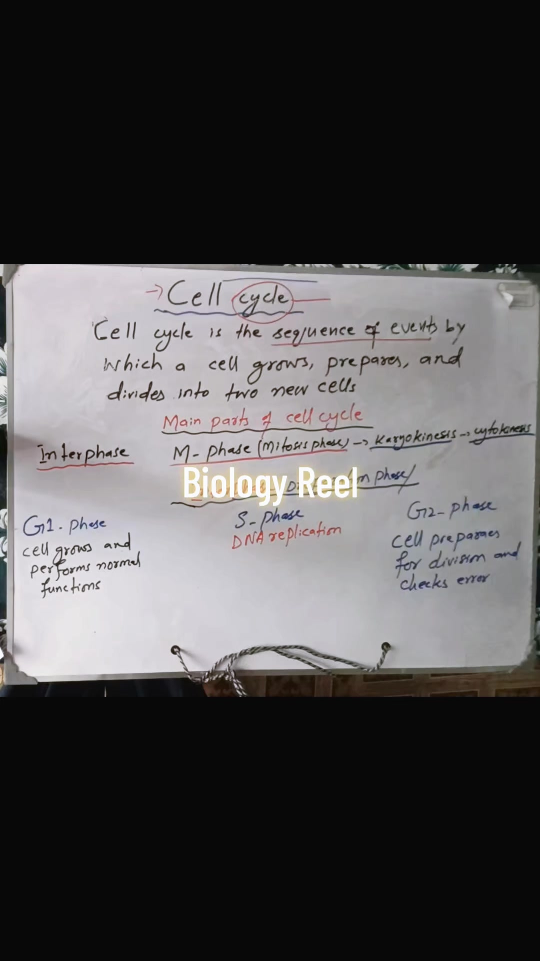 @The Biologist.real.