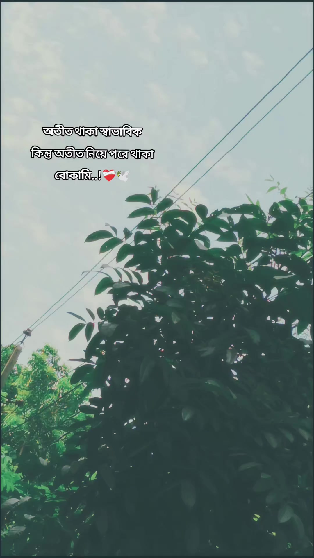 @A,,,đŠ