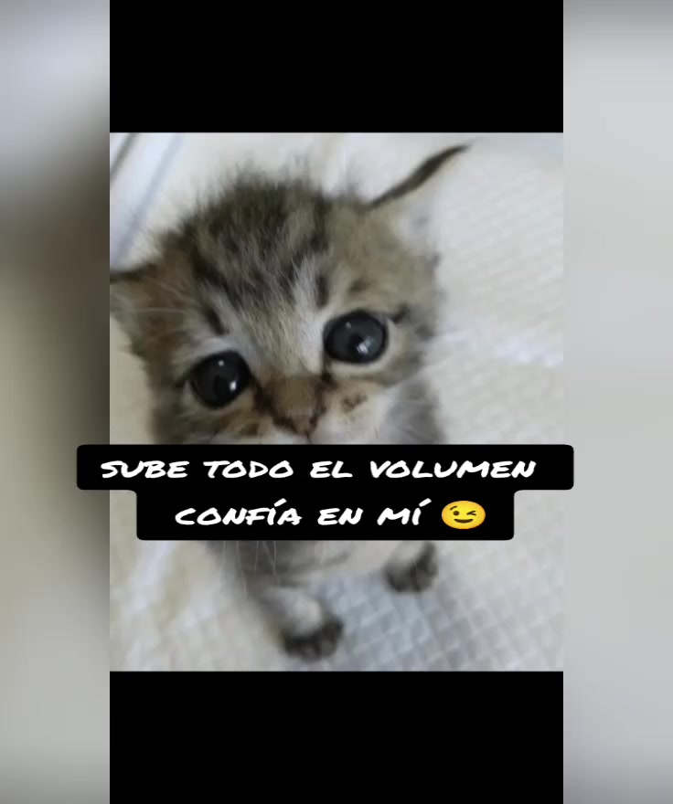 @Enrique Said