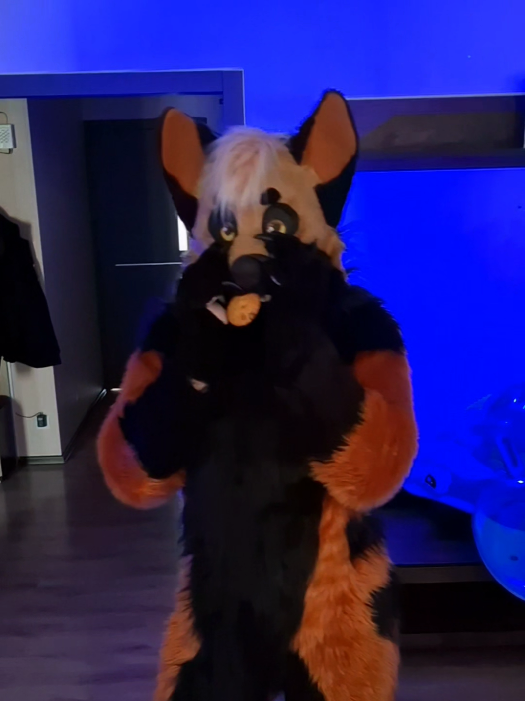 @RUSTY#WingedFox