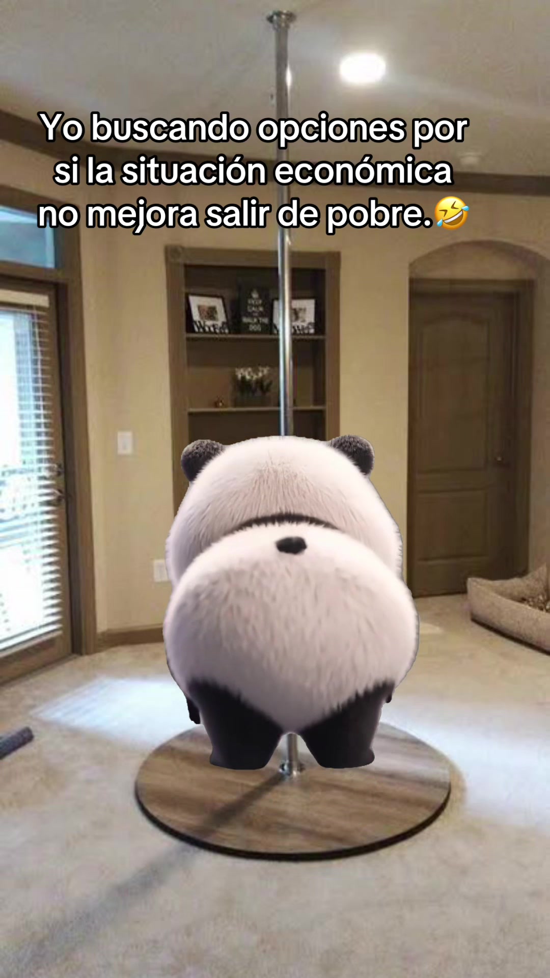 @Brenda Rodgz