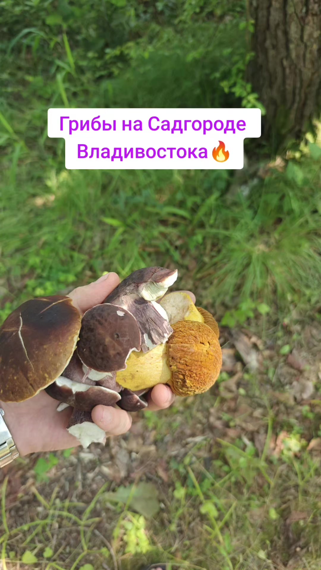 @Смит