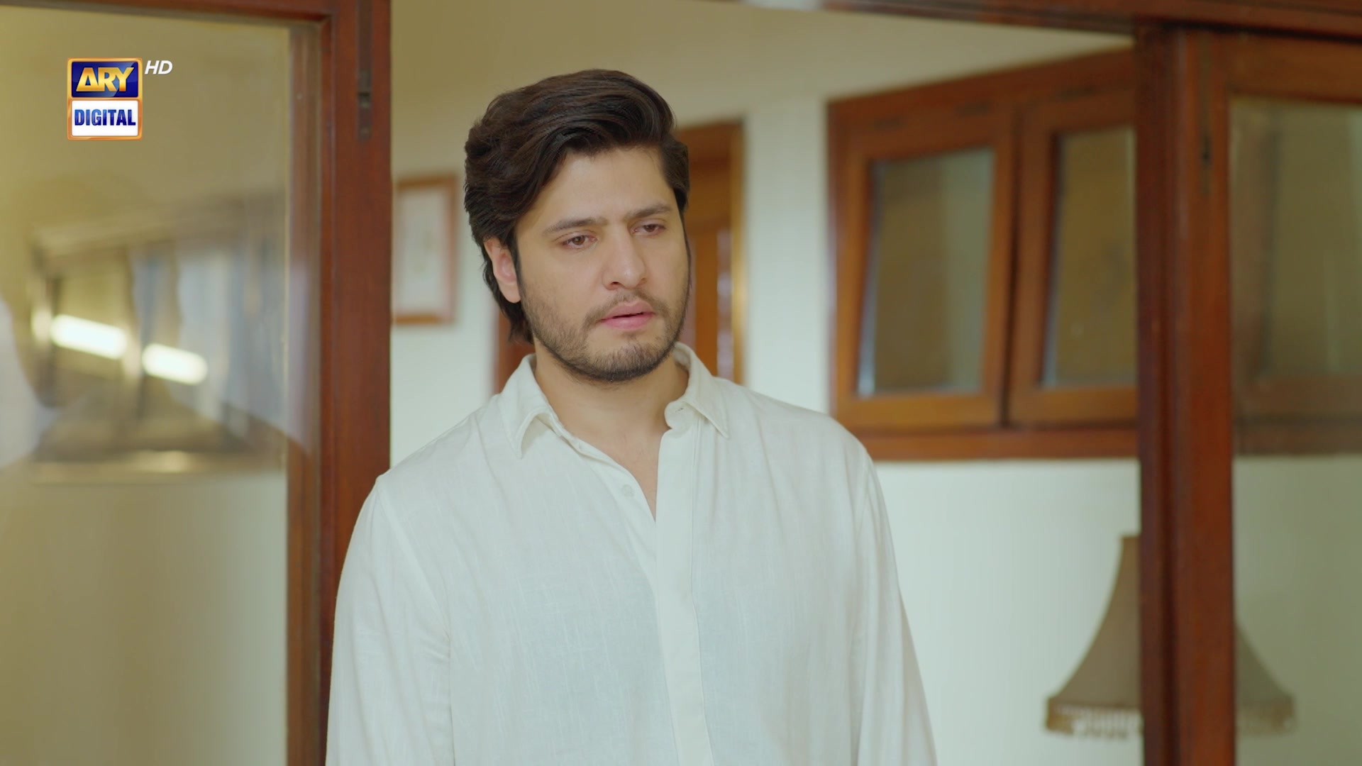 @ARY DIGITAL