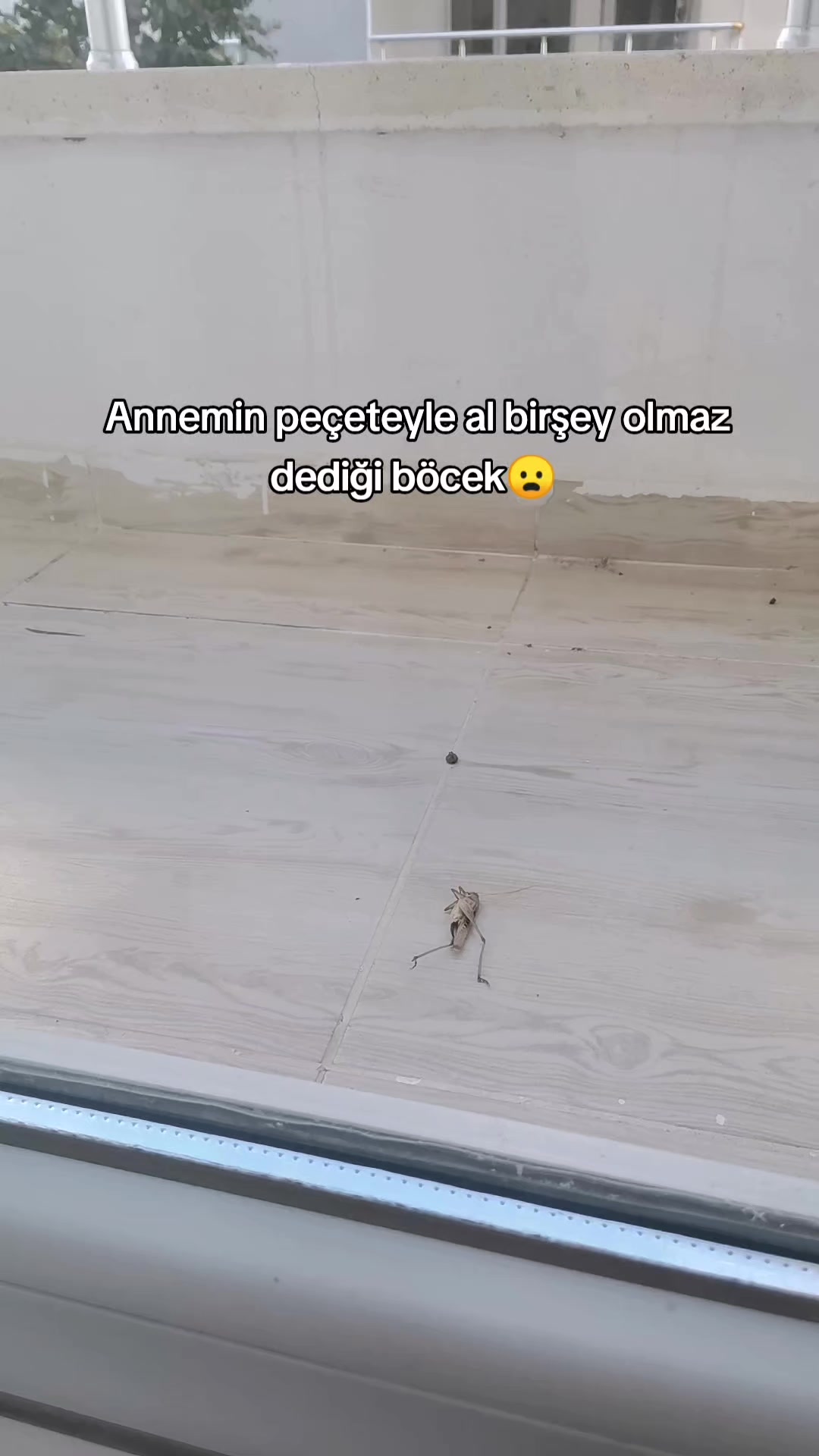 @🪐ŞeBo🪐